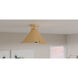 Wisp 1 Light 14.5 inch Light Gold Semi-Flush Mount Ceiling Light, Medium