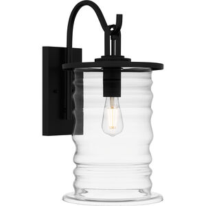 Noland 1 Light 10.5 inch Matte Black Outdoor Lantern, Large