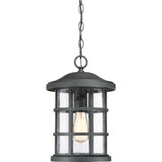 Outdoor Pendants / Chandeliers