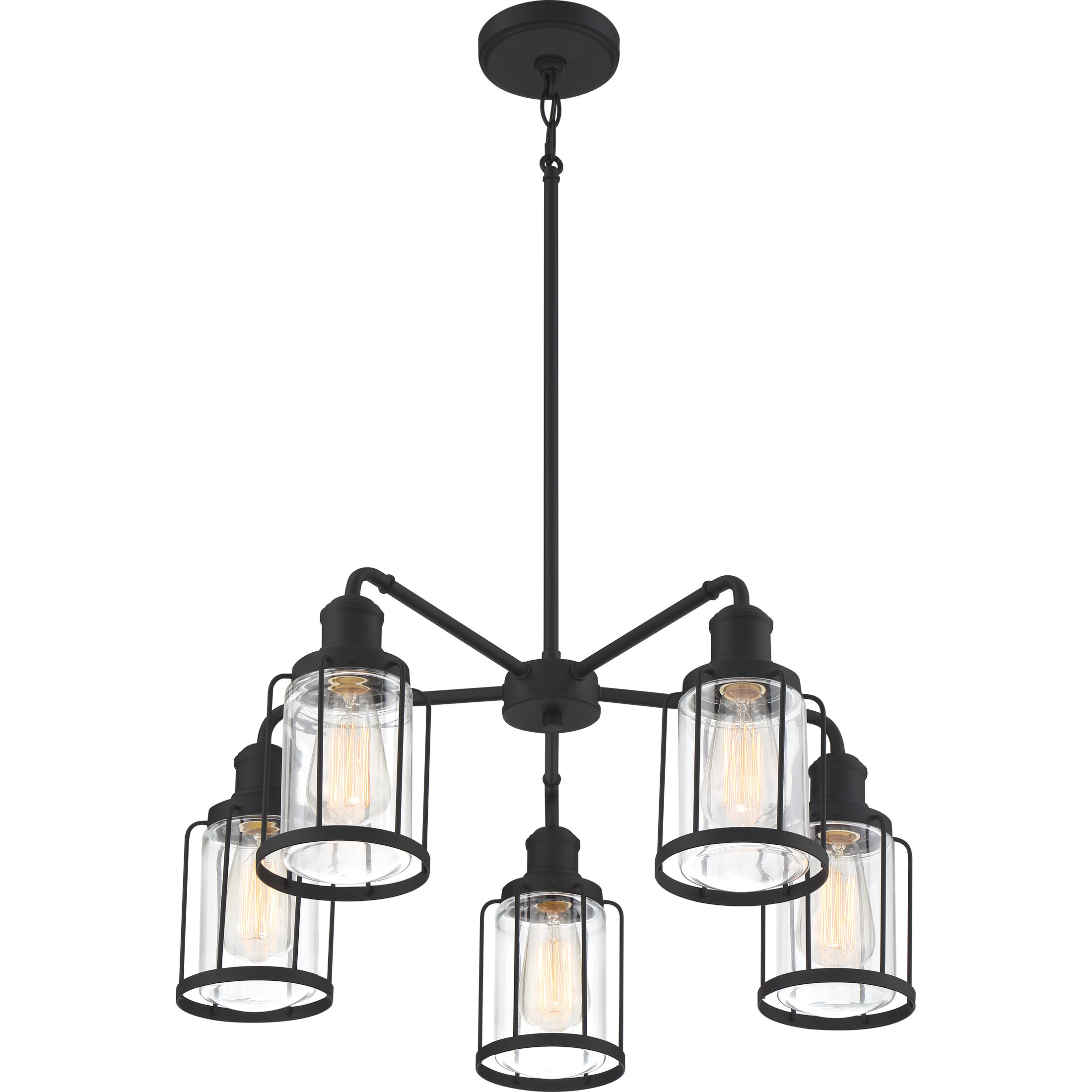 Ludlow 5 Light 25 inch Earth Black Chandelier Ceiling Light