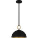 Cleo 1 Light 12 inch Matte Black Pendant Ceiling Light