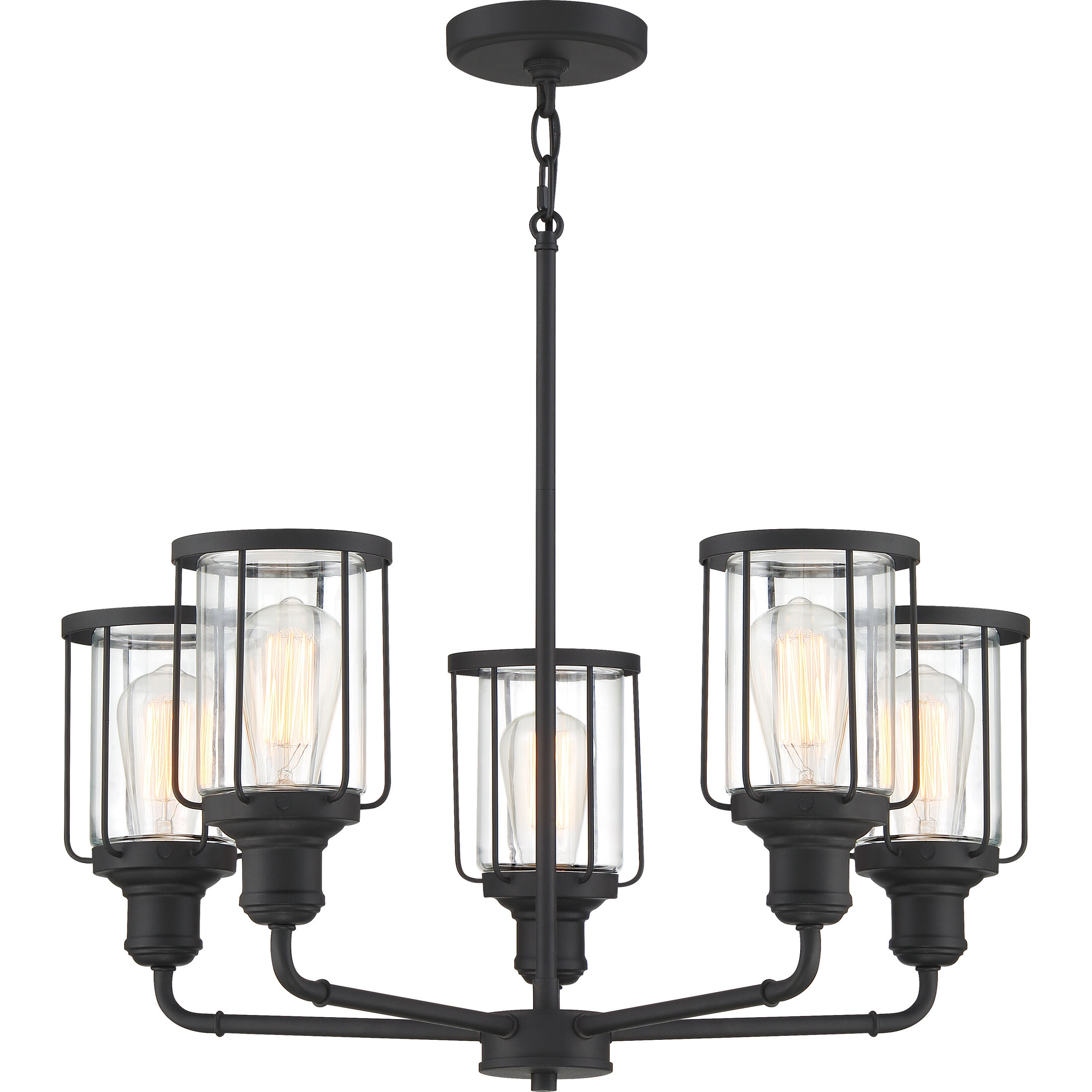 Ludlow 5 Light 25 inch Earth Black Chandelier Ceiling Light