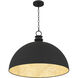 Braylon Pendant Ceiling Light