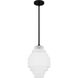 Driscoll 1 Light 10 inch Matte Black Mini Pendant Ceiling Light