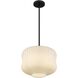 Cara 1 Light 14 inch Matte Black Pendant Ceiling Light