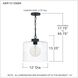 Abner 1 Light 12 inch Matte Black Mini Pendant Ceiling Light