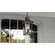 Quentin 4 Light 10 inch Earth Black Outdoor Hanging Lantern, Large