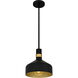Arbor 1 Light 10 inch Matte Black Mini Pendant Ceiling Light, Small