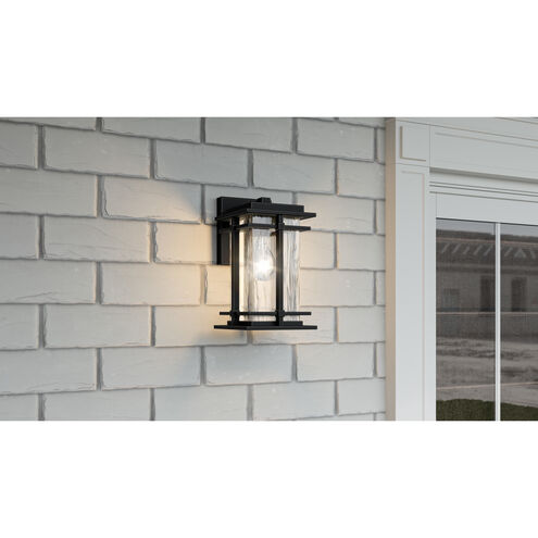 McAlister 1 Light 10 inch Earth Black Outdoor Wall Lantern