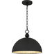 Braylon Pendant Ceiling Light