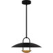 Bingham LED 18 inch Matte Black Pendant Ceiling Light, Large