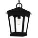 Huck 1 Light 10 inch Earth Black Mini Pendant Ceiling Light, Small