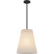 Peregrine 1 Light 14 inch Matte Black Pendant Ceiling Light
