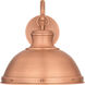 Jameson 1 Light 14 inch Aged Copper Outdoor Wall Lantern