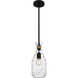Govada 1 Light 6 inch Matte Black Mini Pendant Ceiling Light, Small