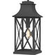 Ellerbee 1 Light 9 inch Mottled Black Outdoor Hanging Lantern, Large