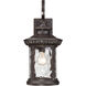 Chimera 1 Light 20 inch Imperial Bronze Outdoor Wall Lantern