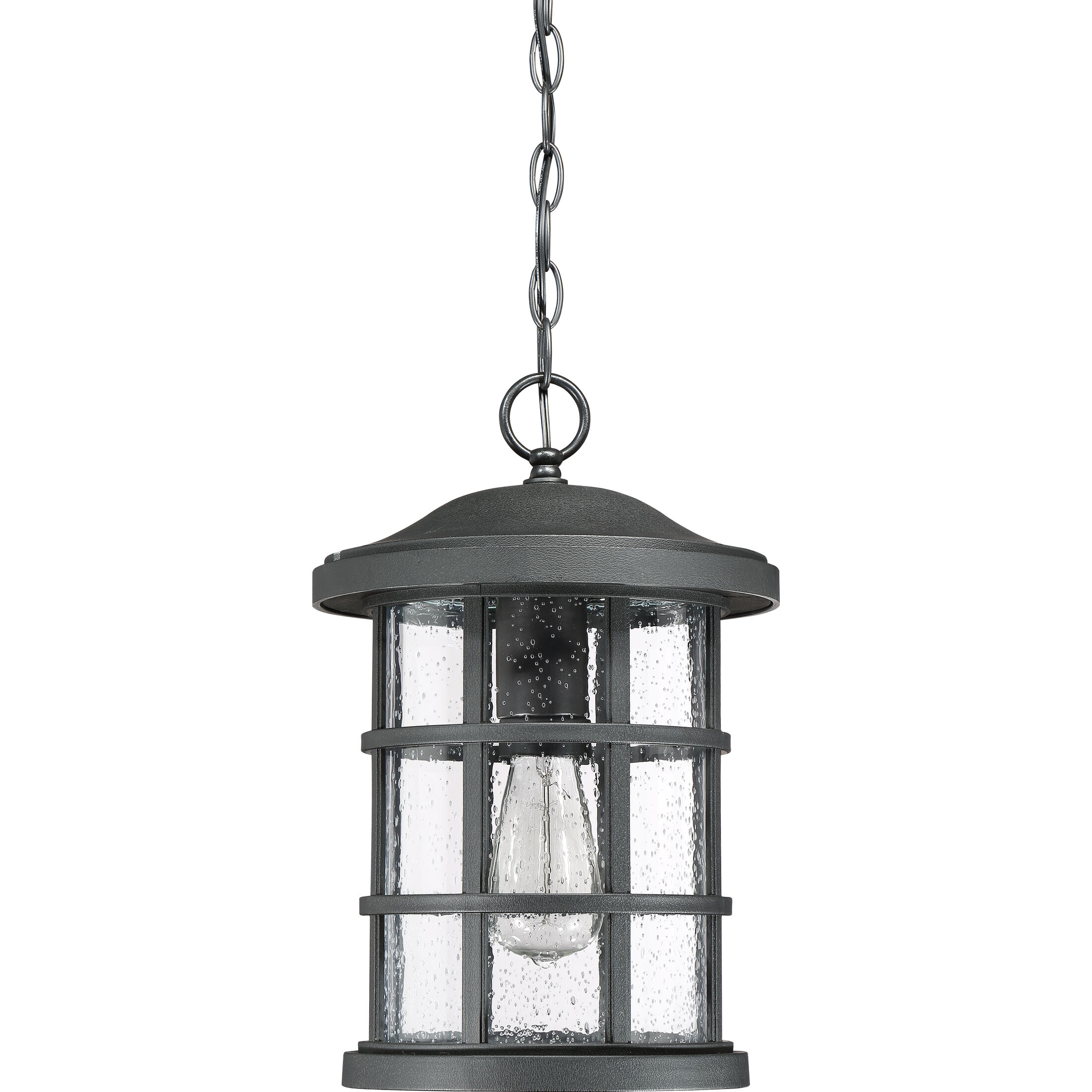 Crusade 1 Light 10 inch Earth Black Outdoor Hanging Lantern