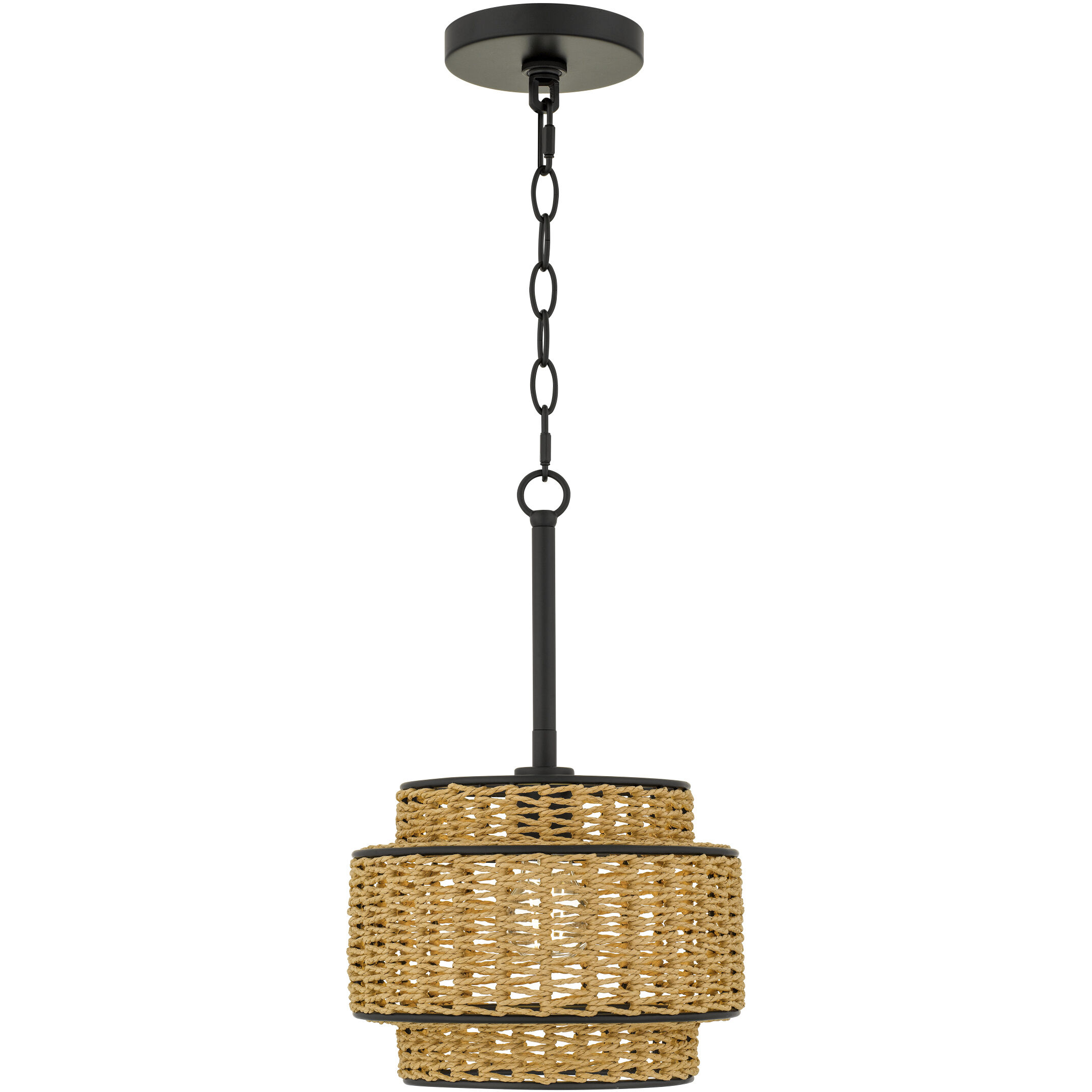 Teton 1 Light 10 inch Matte Black Mini Pendant Ceiling Light