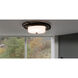 Calliope 2 Light 20.5 inch Matte Black Flush Mount Ceiling Light