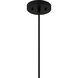 Sycamore 4 Light 28 inch Matte Black Pendant Ceiling Light, Large