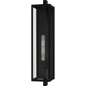 Dale 1 Light 26 inch Matte Black Outdoor Wall Lantern, Large