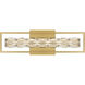 Dazzle LED 24 inch Soft Gold Bath Light Wall Light, Medium