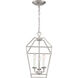 Aviary 3 Light 10 inch Brushed Nickel Foyer Chandelier Ceiling Light