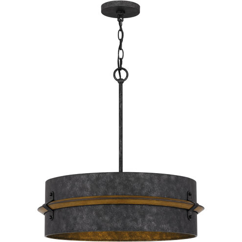 Lariat 3 Light 21 inch Old Black Finish Pendant Ceiling Light
