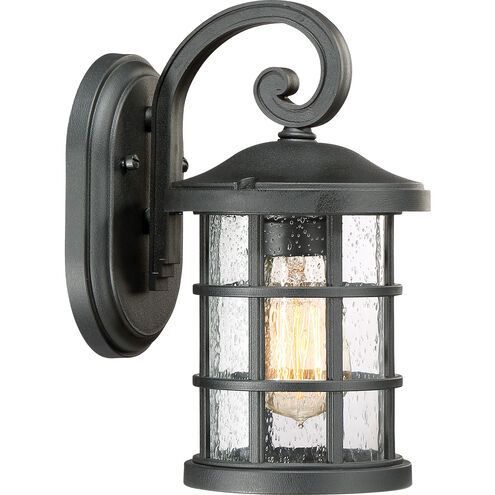 Crusade 1 Light 11 inch Earth Black Outdoor Wall Lantern