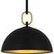Cleo 1 Light 12 inch Matte Black Pendant Ceiling Light