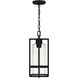 Damien 1 Light 8 inch Earth Black Outdoor Hanging Lantern