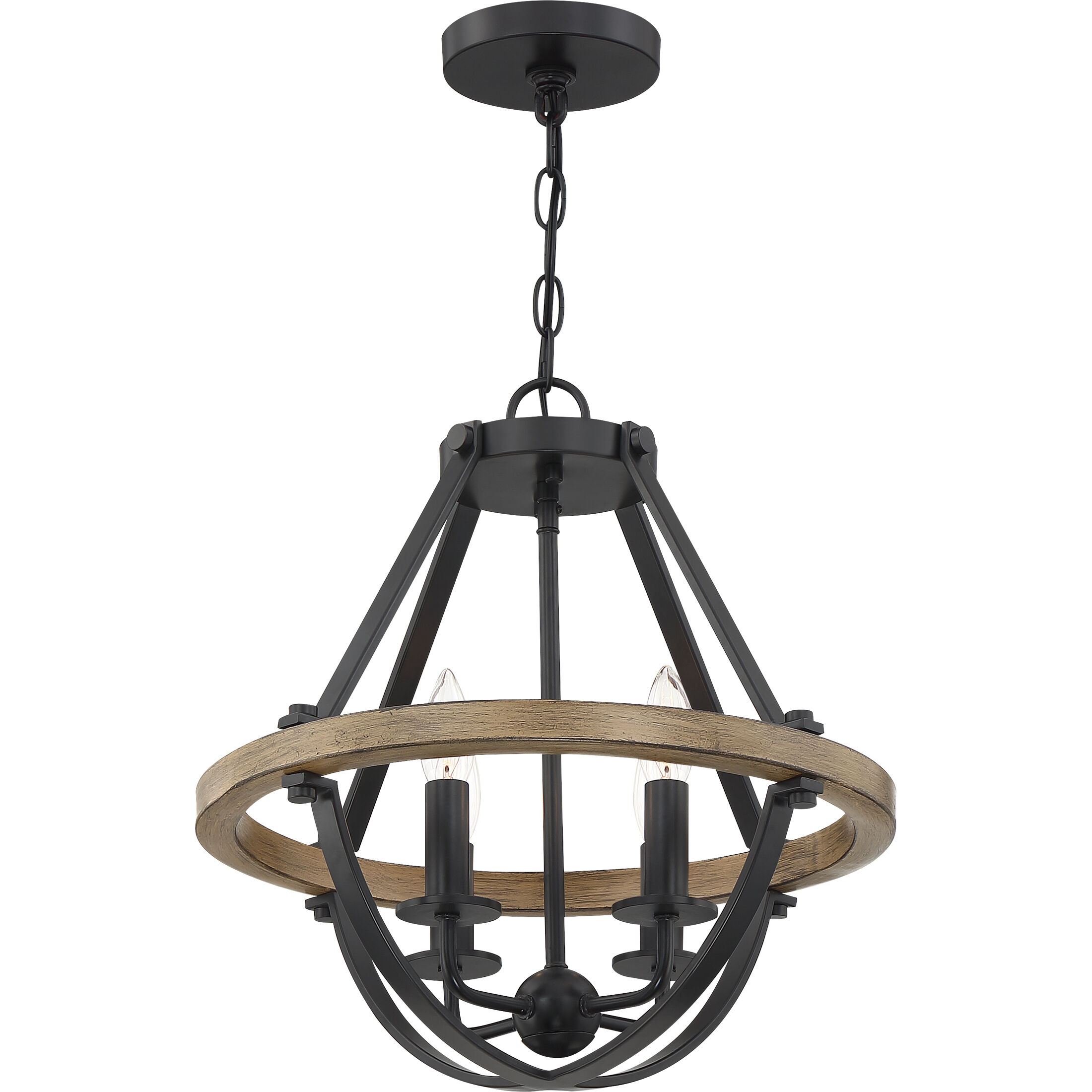 Bartlett 4 Light 16 inch Earth Black Pendant Ceiling Light