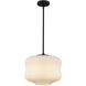 Cara 1 Light 14 inch Matte Black Pendant Ceiling Light