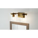 Perry 2 Light 16 inch Weathered Brass Bath Light Wall Light, Medium