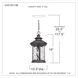 Chimera 1 Light 11 inch Imperial Bronze Outdoor Hanging Lantern