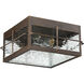 Ward 2 Light 12 inch Gilded Bronze Outdoor Flushmount