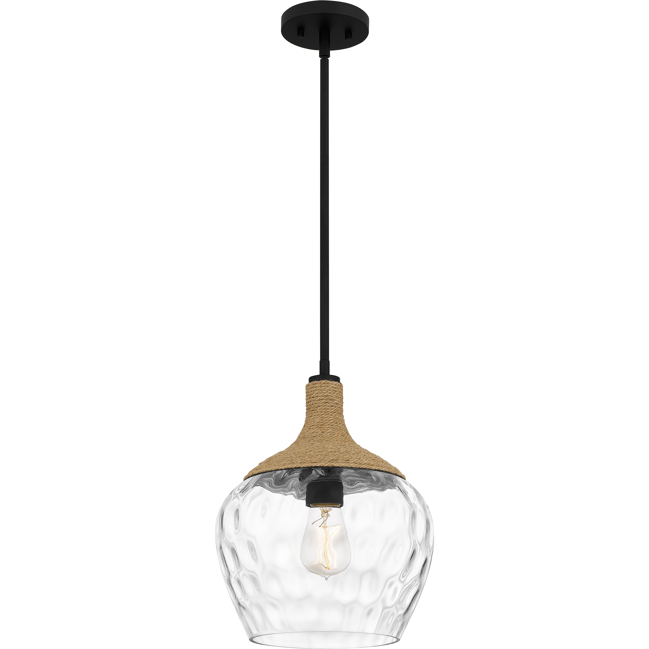 Royer 1 Light 12 inch Matte Black Mini Pendant Ceiling Light in Clear Glass