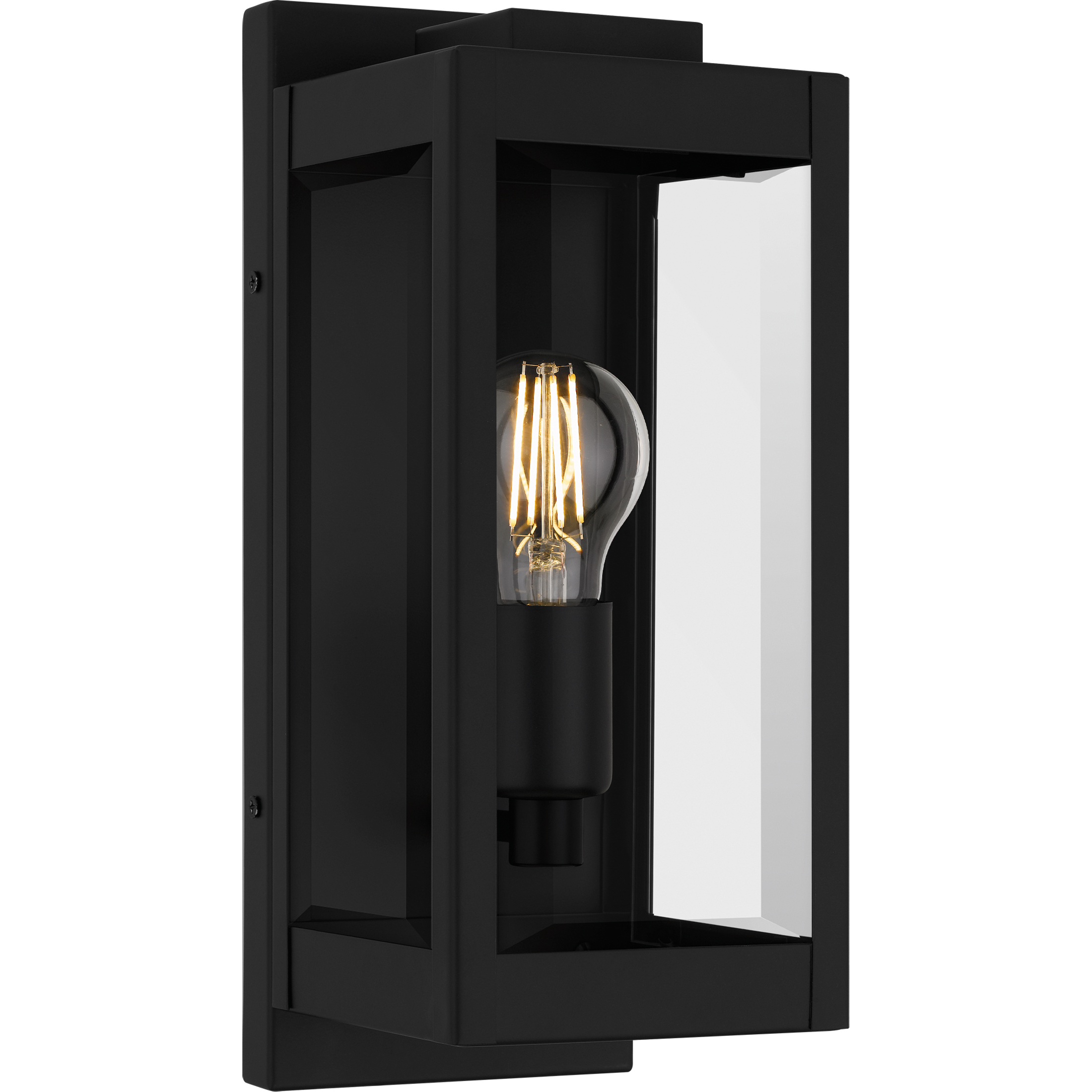 Eastover 1 Light 13 inch Earth Black Outdoor Wall Lantern, Small