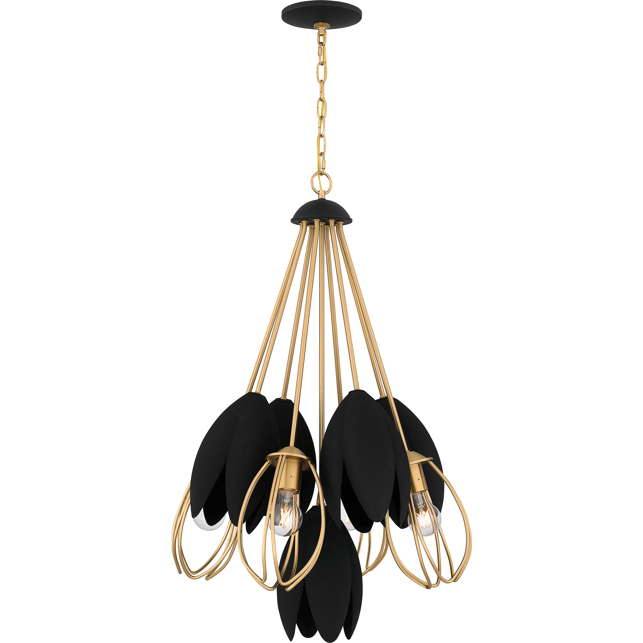 Quoizel QP6214BWS Seraphina 4 Light 22.5 inch Brushed Weathered Quoizel QP6214BWS Seraphina 4 Light 22.5 inch Brushed Weathered