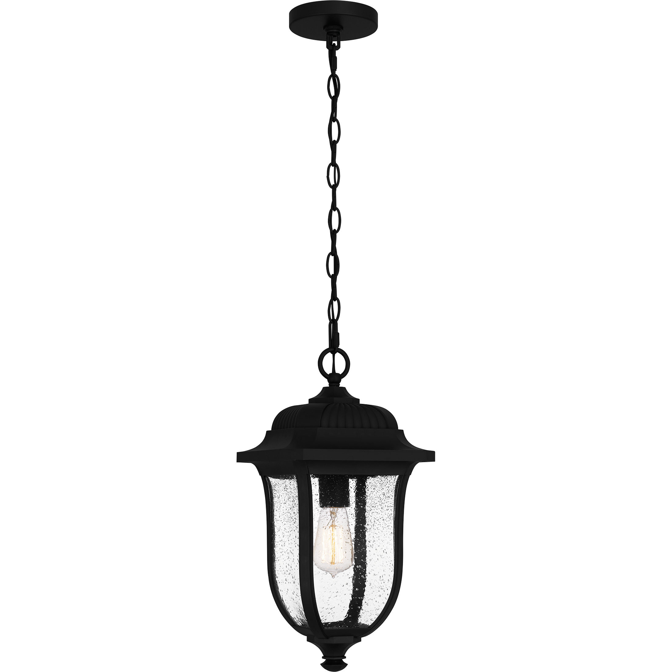 Mulberry 1 Light 9.25 inch Matte Black Outdoor Hanging Lantern