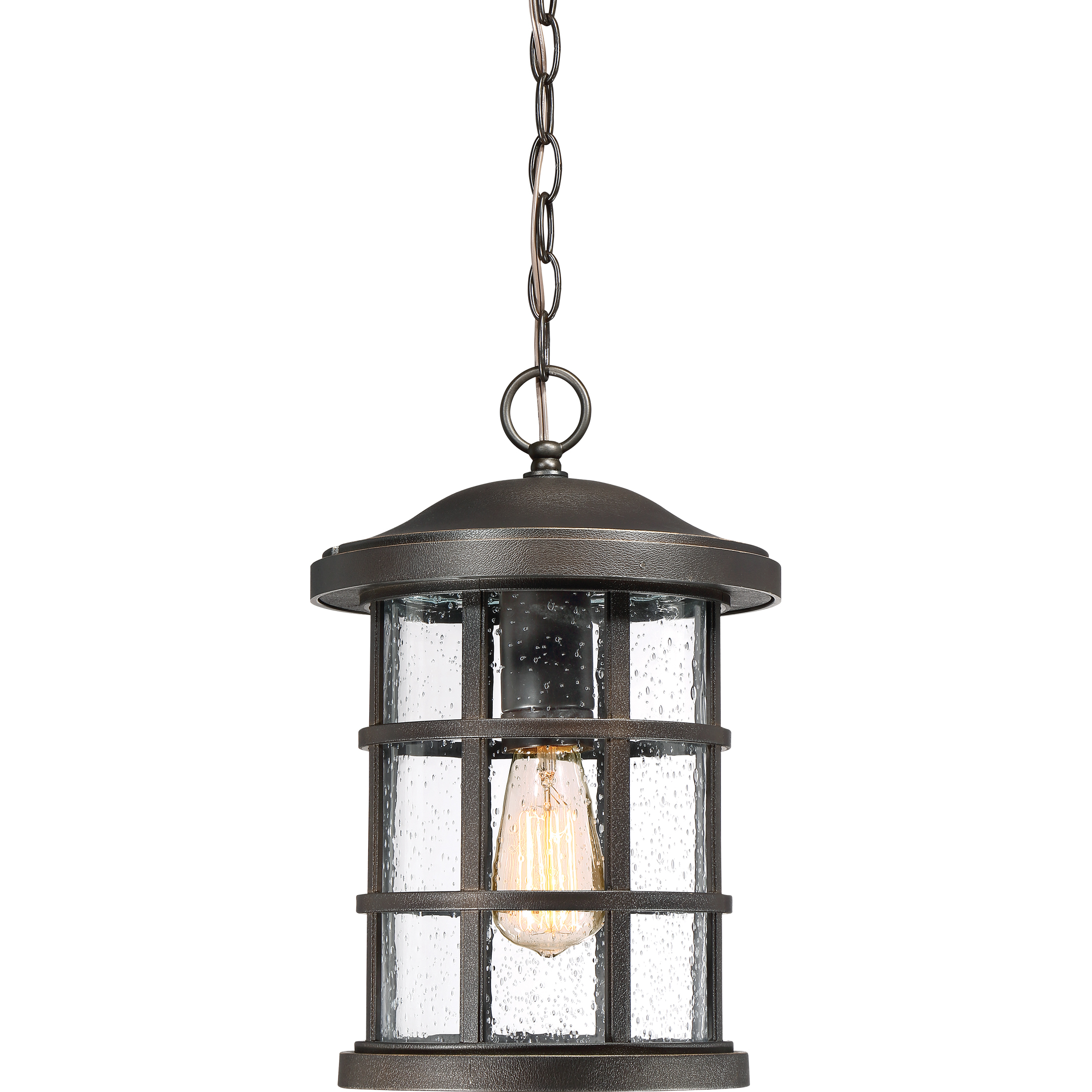 Quoizel CSE1910PN Crusade 1 Light 10 inch Palladian Bronze
