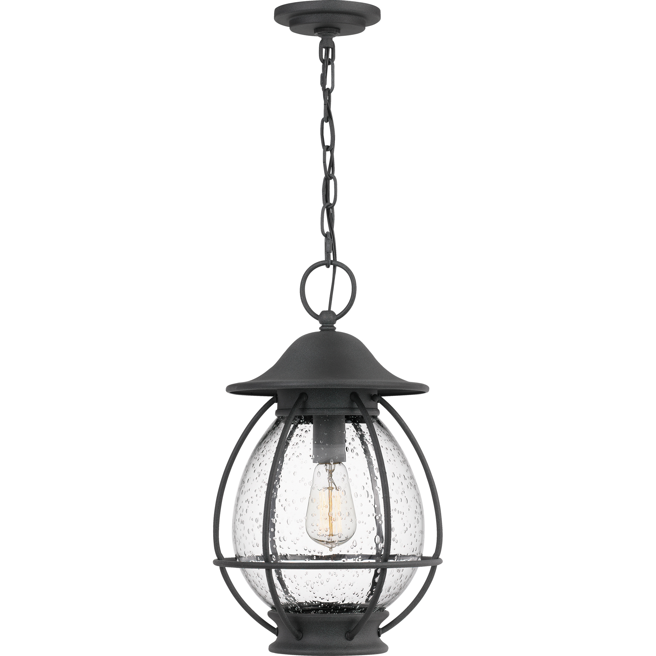 Boston 1 Light 10.5 inch Mottled Black Outdoor Hanging Lantern